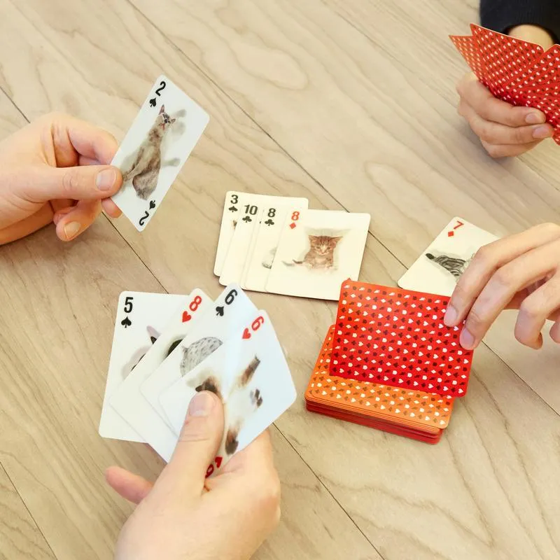 Cats 3D Playing Cards