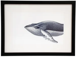 Ink Whale Framed Print