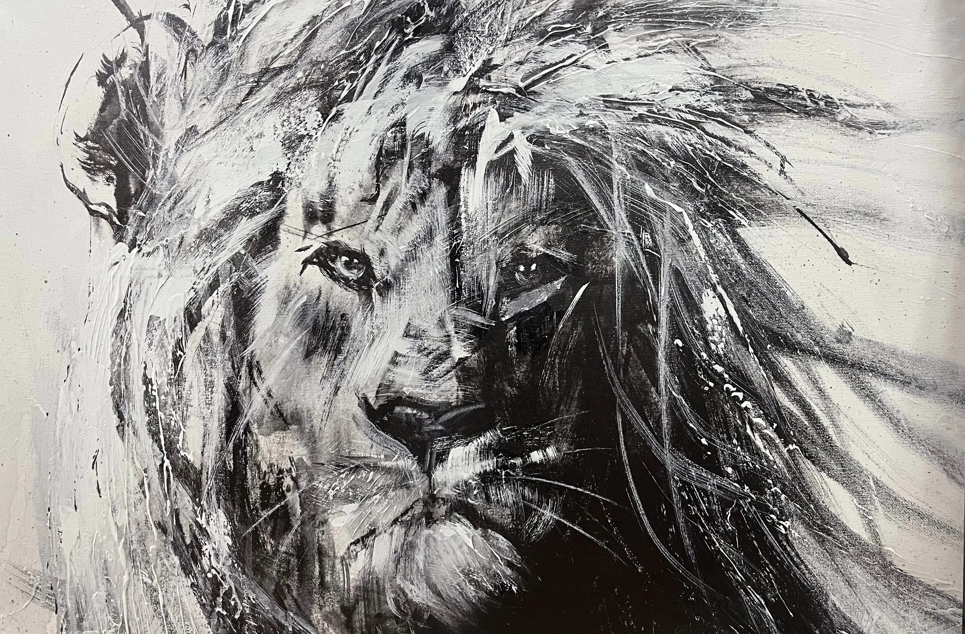lion